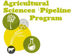 Saint Paul summer camps